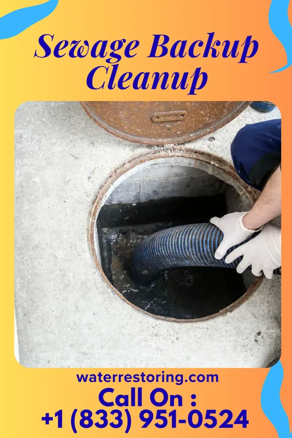 Sewage Backup Cleanup in Clarks Summit, PA