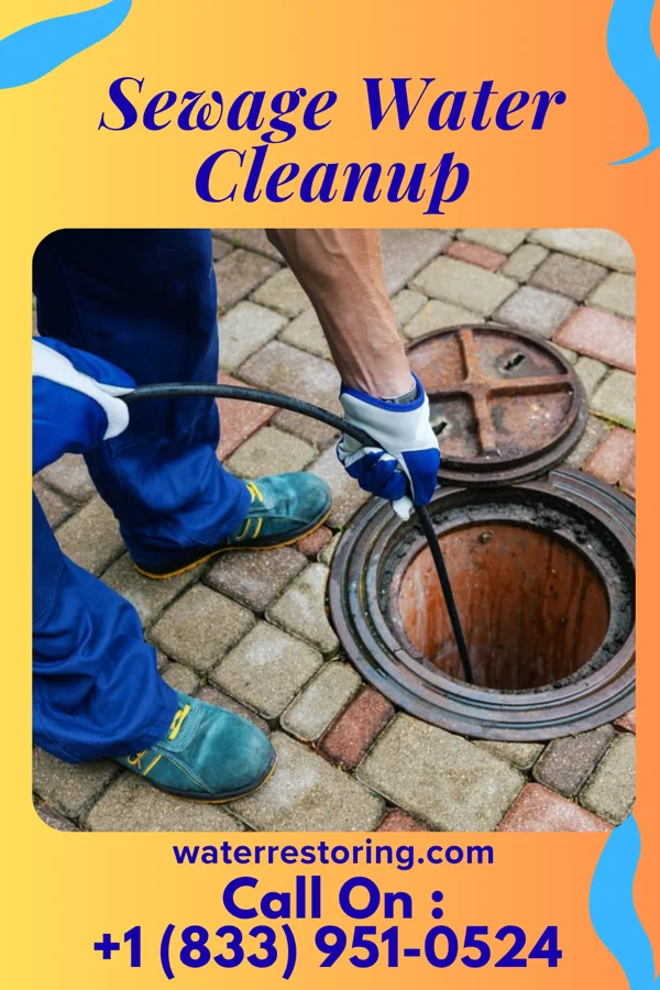 Sewage Water Cleanup in Clarks Summit, PA